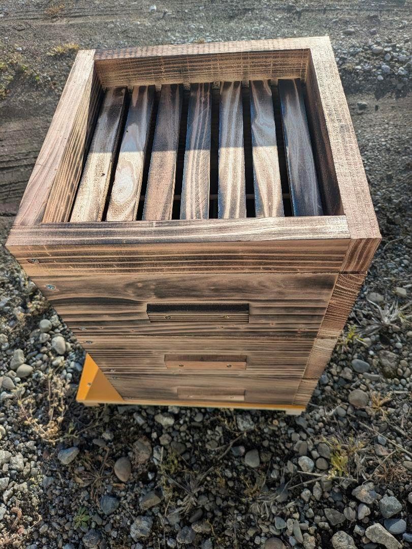 日本蜜蜂重箱式巣箱3段 Amazon.co.jp: 日本蜜蜂 ミツバチ 巣箱 日本